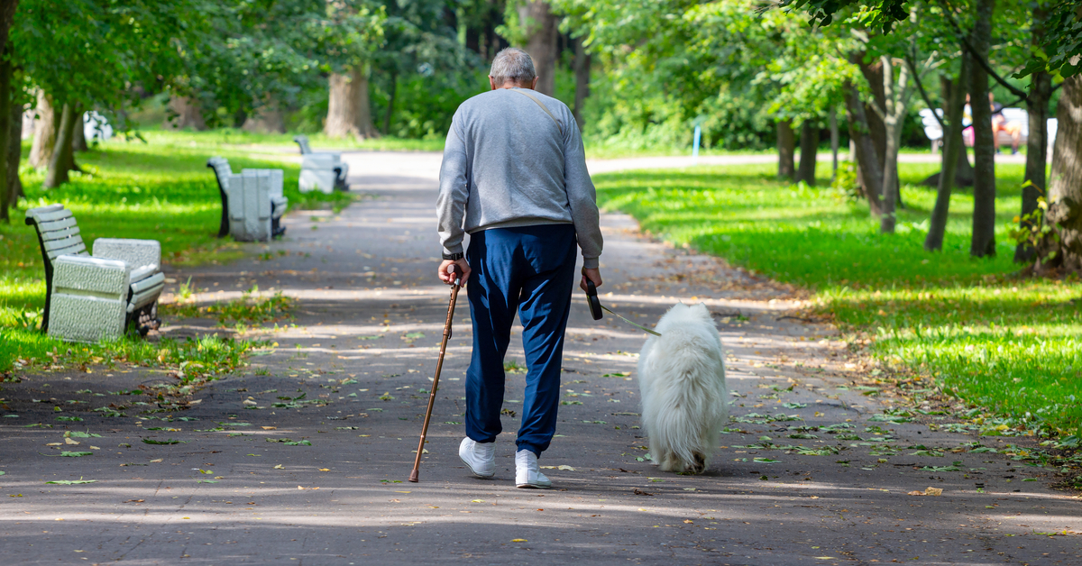 SON DAKİKA Araştırma: Biraz hızlı yürümek yaşlılara hareket esnekliği sağlayabilir – Haberler Detaylar…