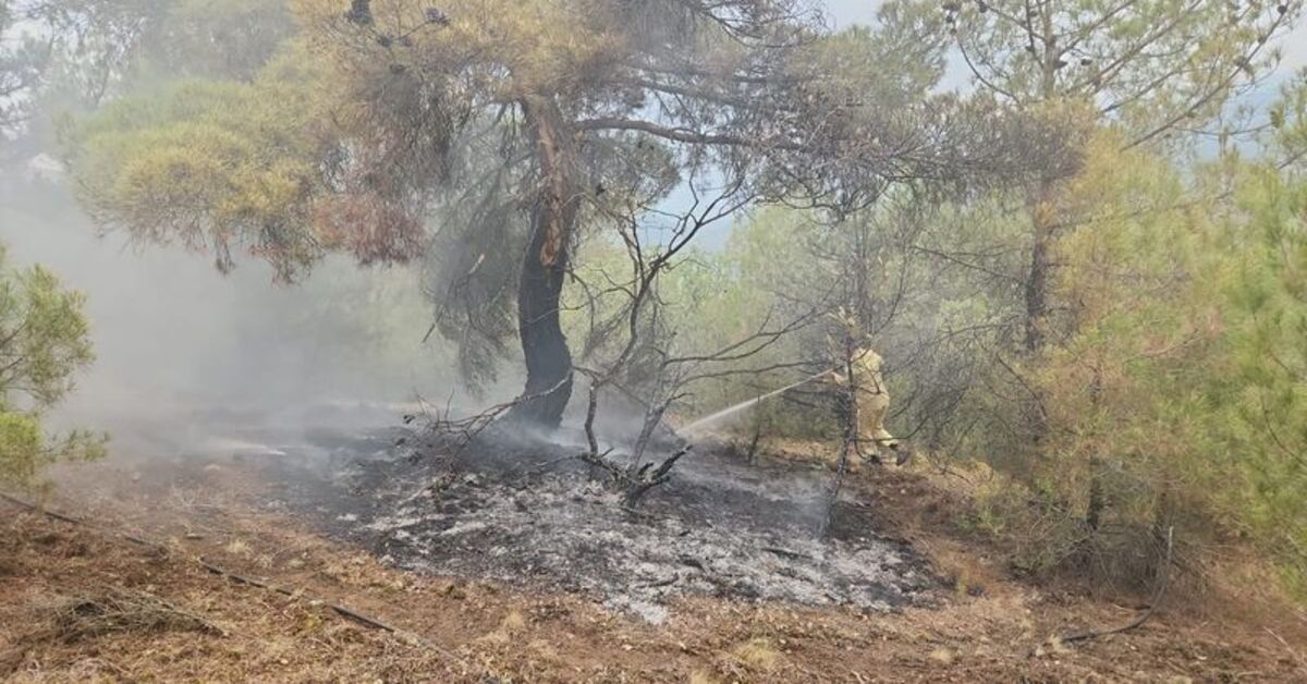 SON DAKİKA Çorum’da yıldırım düşmesi nedeniyle ormanlık alanda çıkan iki yangın söndürüldü Detaylar…