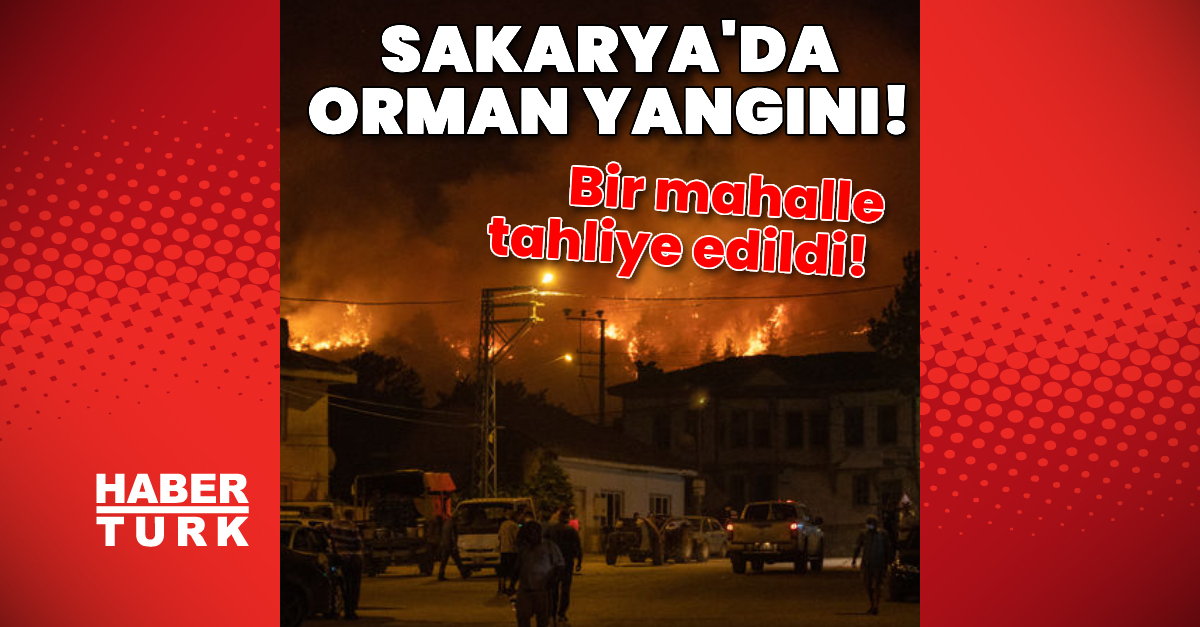 SON DAKİKA 2 kentte orman yangını! Müdahale devam ediyor Detaylar…