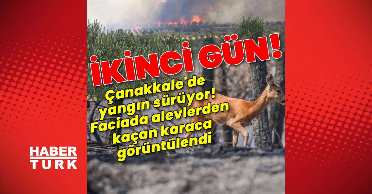 SON DAKİKA Çanakkale’de alevlerle mücadele sürüyor! | Son dakika haberi Detaylar…