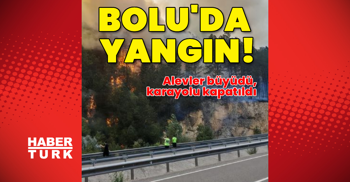 SON DAKİKA Bolu’da yangın kontrol altında | Son dakika haberleri Detaylar…