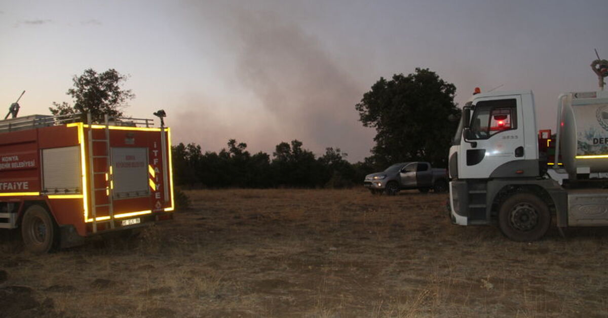 SON DAKİKA Konya’da sazlık alandaki yangın ormana sıçradı Detaylar…