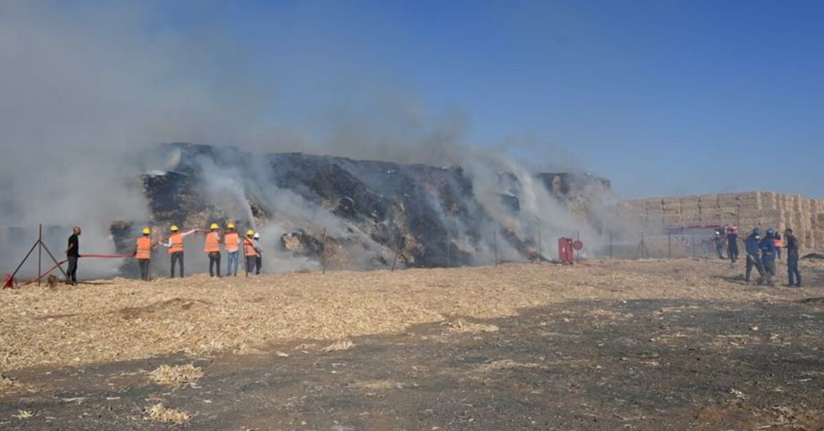 SON DAKİKA Mardin’de istiflenen mısır balyaları alev aldı Detaylar…