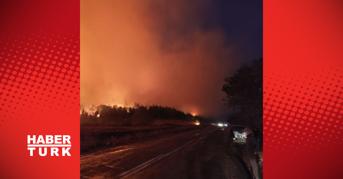 SON DAKİKA Bursa’da orman yangını! Detaylar…