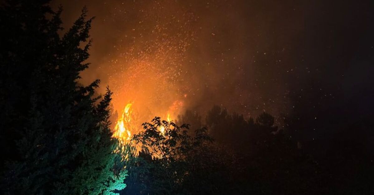 SON DAKİKA Beykoz’da orman yangını | Son dakika haberleri Detaylar…