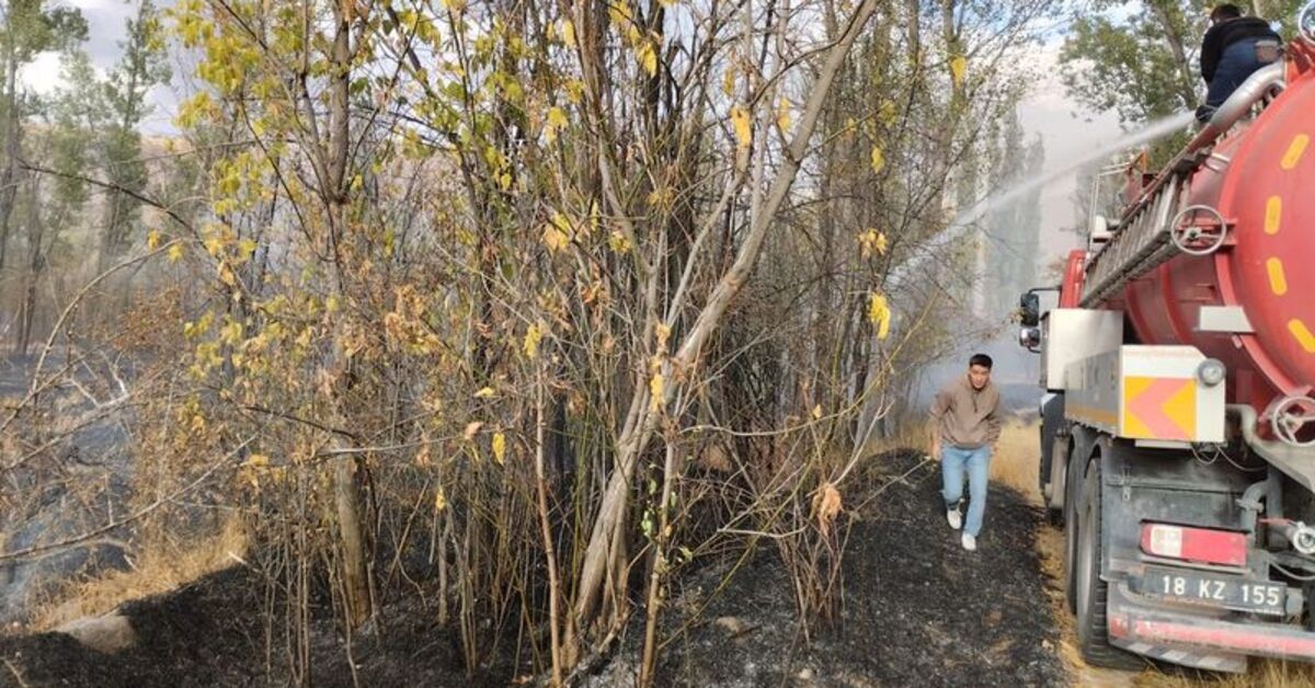 SON DAKİKA Çankırı’da bahçelik alanda çıkan yangın söndürüldü Detaylar…