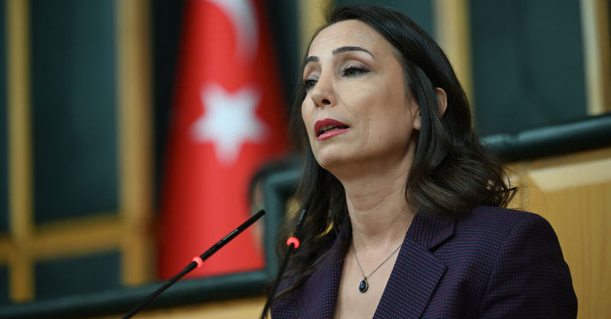 SON DAKİKA DEM Partili Hatimoğulları: Demokratik entegrasyon için yasaları yapmak lazım Detaylar…